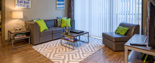 Apartment Living Area